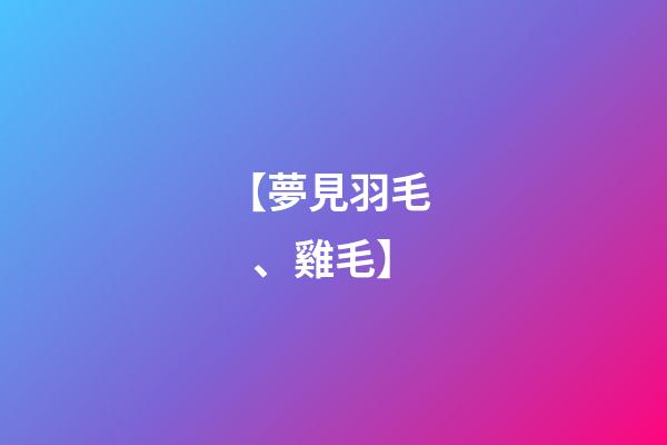 【夢見羽毛、雞毛】